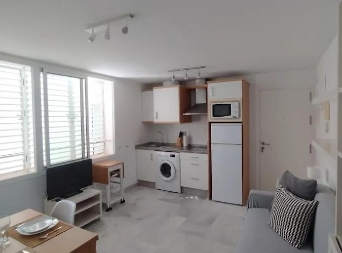 Atico-duplex Palmeras *