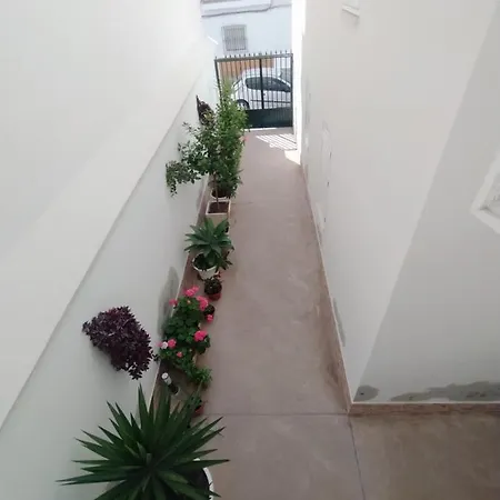 Atico-duplex Palmeras *