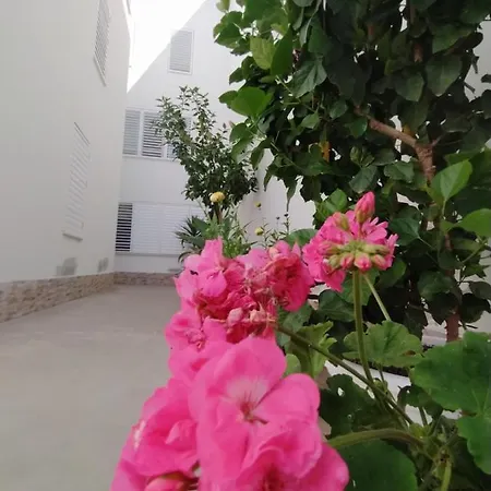 ático-duplex Palmeras Apartamento *