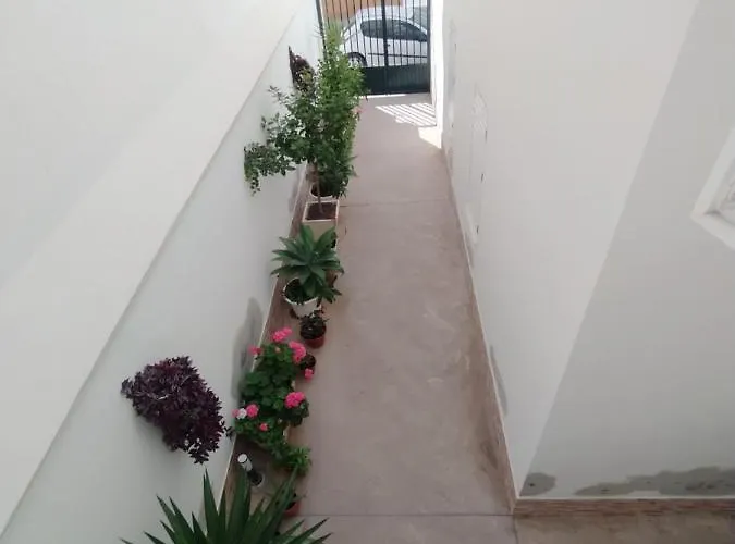 Atico-duplex Palmeras *