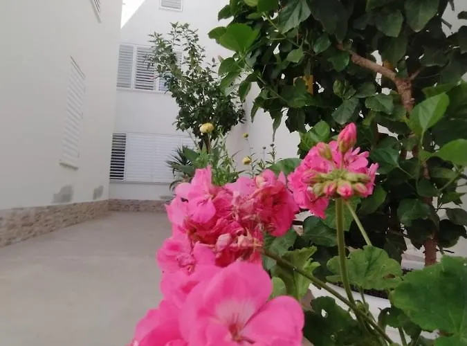 Atico-duplex Palmeras شقة *